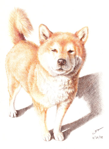 rikishiba