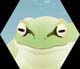 frog