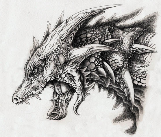 dragon old
