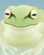 �J�G��(Frog)